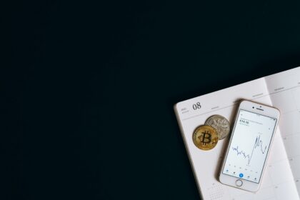Is Shiba Inu the Next Big Investment for 2025?