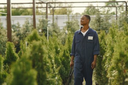 Strong Jobs Numbers Make the Fed’s Job Easier