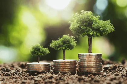 J.P. Morgan Investment Funds 2024