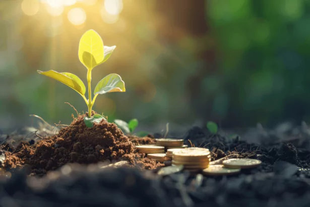 Investment Funds Overview and Insights on BankOnlineUSA.com