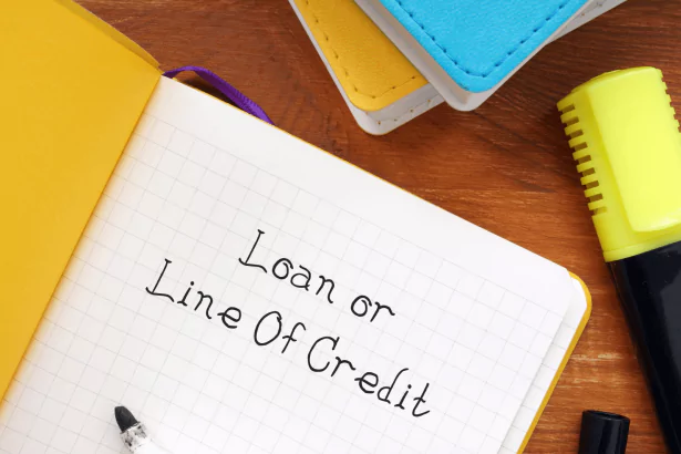 Comprehensive Guide to Loans and Lines of Credit