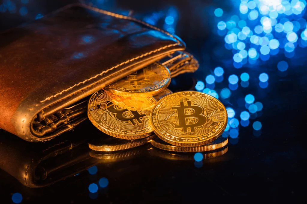 Leather wallet with Bitcoin coins